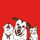 Stella logo